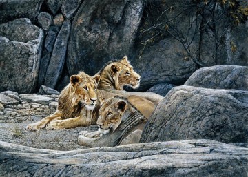動物 Painting - 岩のライオンズ